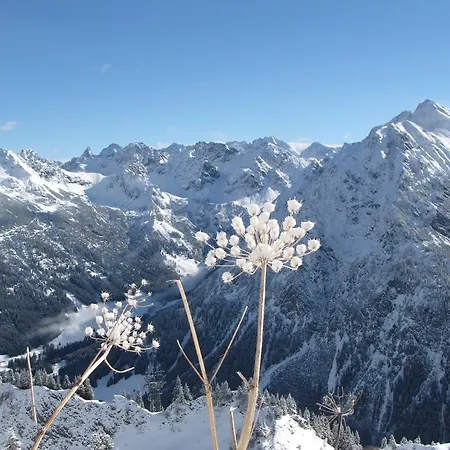 Oberstdorfer Bergwelt 213 Apartmán