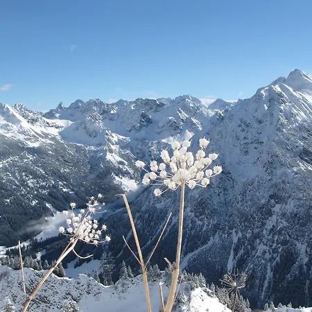 Oberstdorfer Bergwelt 213 Διαμέρισμα