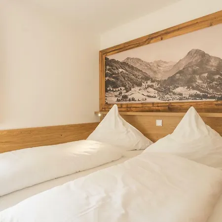 Oberstdorfer Bergwelt 213